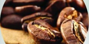 Instant Coffee Premix