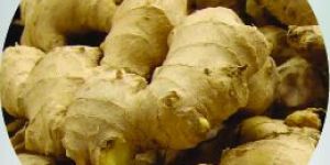 Instant Ginger Tea Premix