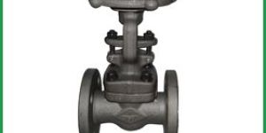 Forged Steel Valve