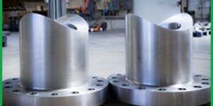 Stainless Steel Flanges
