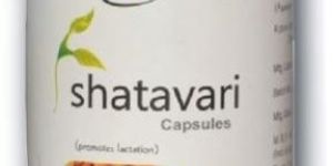 Shatavari Capsules