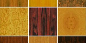Wood Veneer