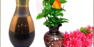 Flower Vases