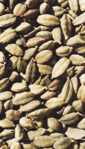 Cardamom Seed