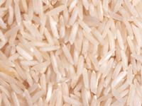 1121 White Sella Rice