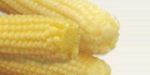 Baby Corn
