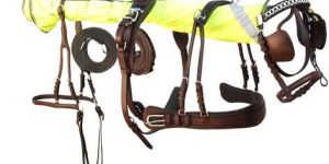 DIPLOMAT HARNESS SET