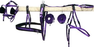 NY PURPLE HARNESS