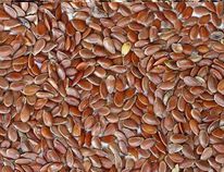 Linseeds
