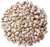 Safflower Seeds