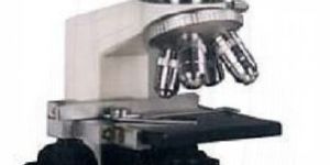 Trinocular Microscope