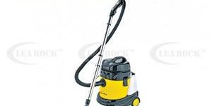Steam and Carpet Cleaner