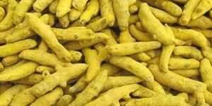 SALEM DOUBLE POLISHED FINGER TURMERIC