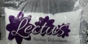PILLOW LECTUS