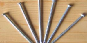 Stainless Steel Wire Nails