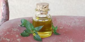 Peppermint Oil