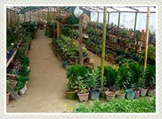 Floriculture Shade Net