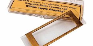 Rafter Counting Cell