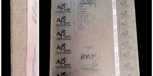 AP Wood Waterproof/BWR 100 %Popular Block Board