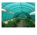 Shade Net
