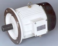 Squirrel Cage Induction Motors