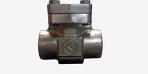 Lift Check Valve