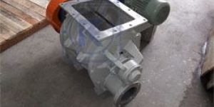 Blow through Rotary Airlock Valve