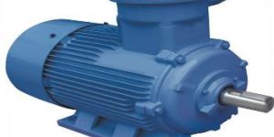 Flame Proof Motor