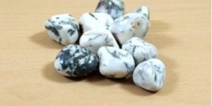 Tree Agate Tumbled Stone