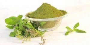 Tulsi Powder