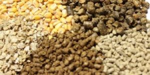 Animal Feed Products