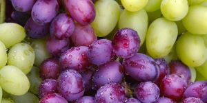 Egyptian Fresh Fruits