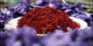 Iranian Saffron