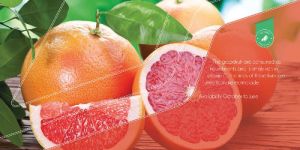 Turkish Fresh Fruits