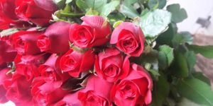 Top Secret Rose Flower