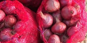 Red Onion of Variety of Size