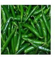 Fresh Green Chilli