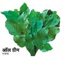 Palak Seed