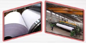 Writing and Printing Paper