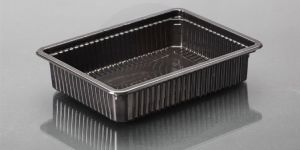 DISPOSABLE PLATES AND TRAYS