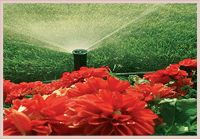 Landscape Irrigation System