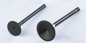 Nitrite Engine Valve