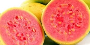 Guava