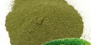 Memordica Charantia Fruit Extract