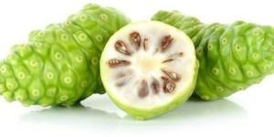 Morinda Citrifolia / Noni Extract