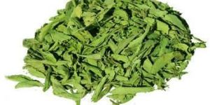 Stevia Leaves