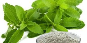 Stevia Rebaudiana Extract