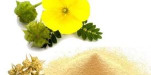 Tribulus Terrestris Extract