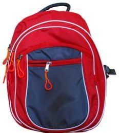 Backpacks Bags