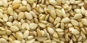 Sesame Seeds